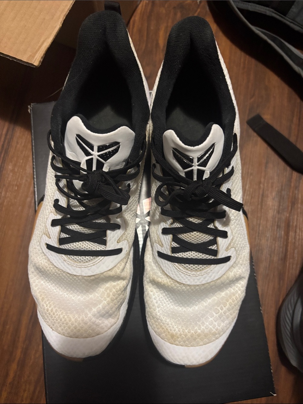Kobe Mamba focus size 12 used